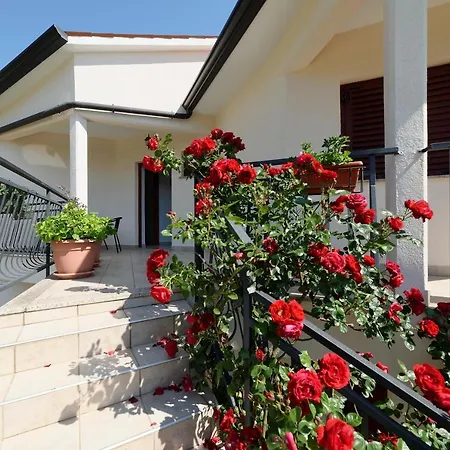 Klaudio 634 Drenje (Istria)
